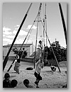img_0905.jpg
