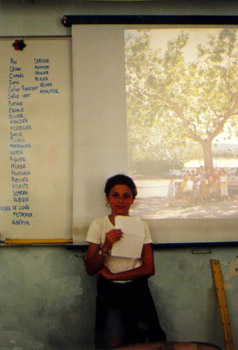 Expos au tableau avec diapos des arbres