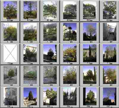 300 photos enregistres !