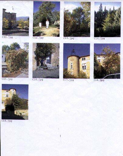 Une fiche permettant de situer les arbres