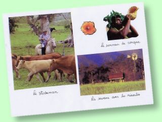 Cliquez pour voir l'expos de Shimon