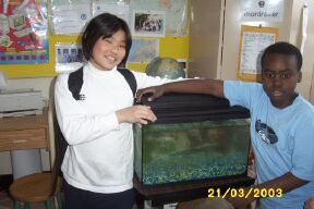 aquarium