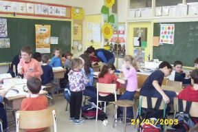 Toute la classe observe les poissons