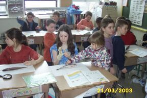 Les petits s'en vont