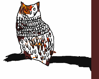 Image gif 8 couleurs 320 x 256