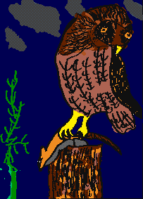 Image gif 16 couleurs 203 x 283