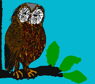 Image gif 16 couleurs 320 x 283