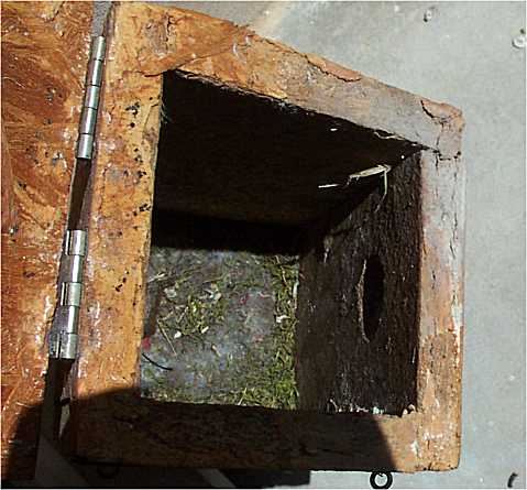 Intrieur du nichoir