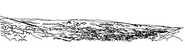 Paysage dcalqu