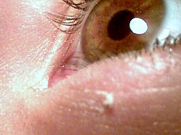 Un oeil me regarde !